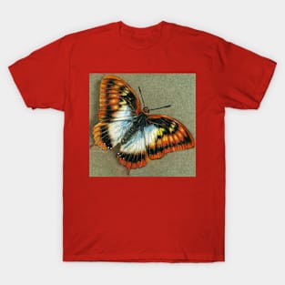 Pastel Butterfly T-Shirt